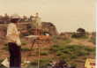 alifornia@